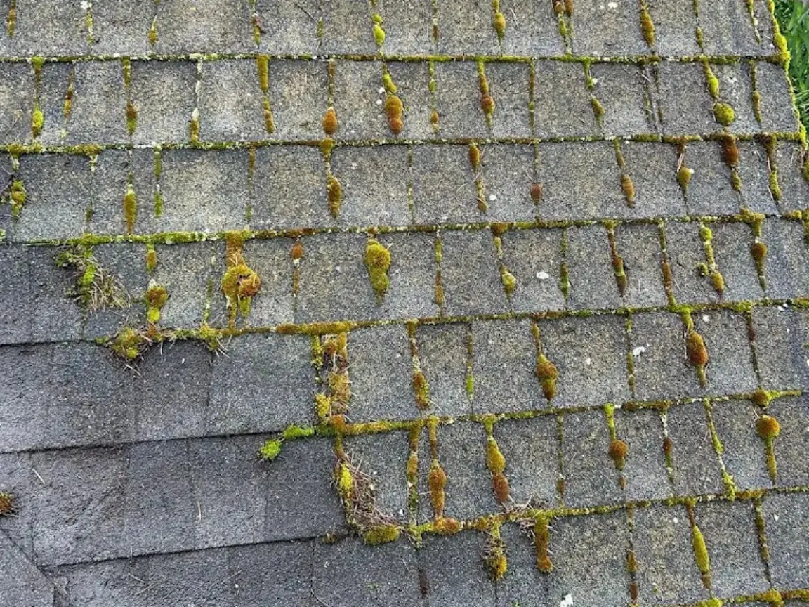 Gutter Cleaning in Greensboro NC